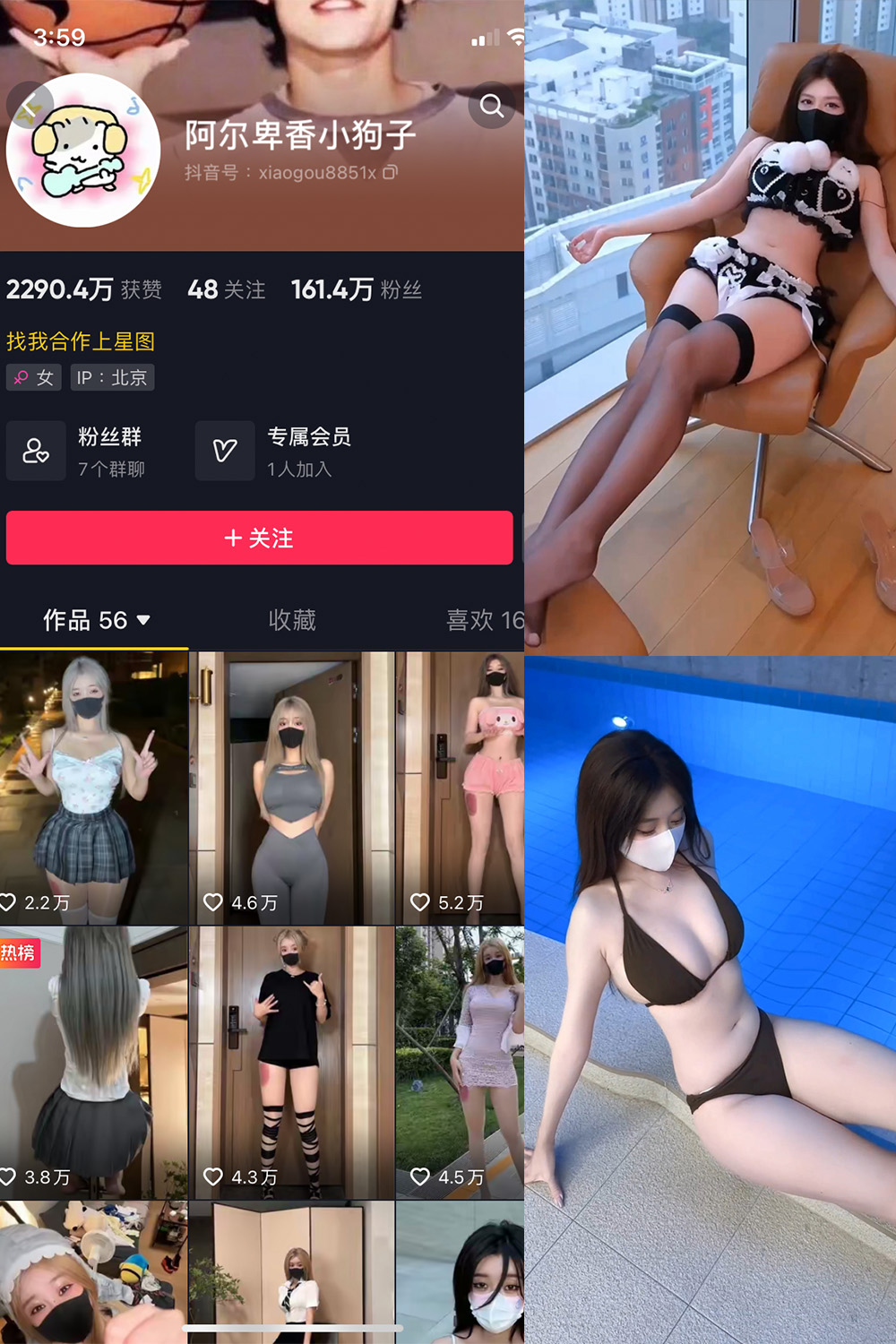 抖音 阿尔卑香小狗子 微密圈&觅圈  NO.062期 【8V】-SCity-写真网免费-写真-微密圈-铁粉空间-铁粉花园SCity写真网