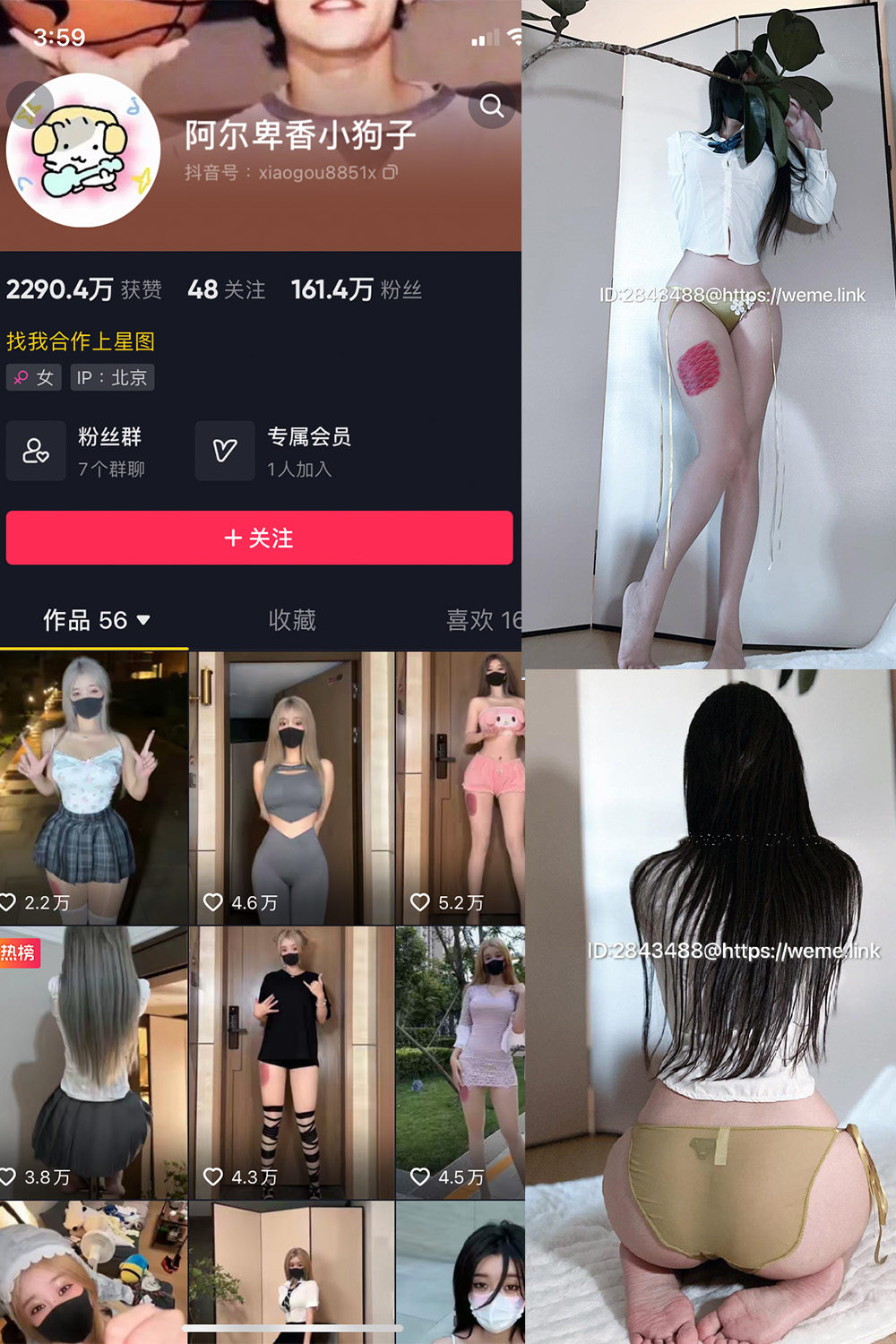 【在线看】抖音 阿尔卑香小狗子 微密圈  NO.047期 【39P】免费-写真-微密圈-铁粉空间-铁粉花园SCity写真网
