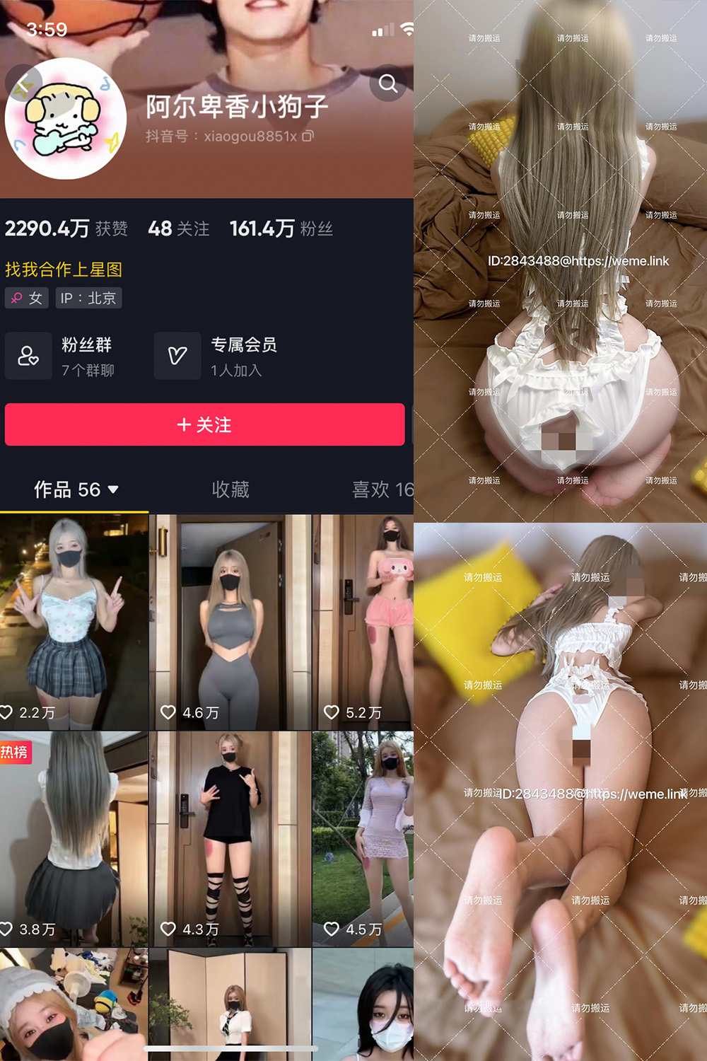 【在线看】抖音 阿尔卑香小狗子 微密圈  NO.054期 【16P1V】免费-写真-微密圈-铁粉空间-铁粉花园SCity写真网
