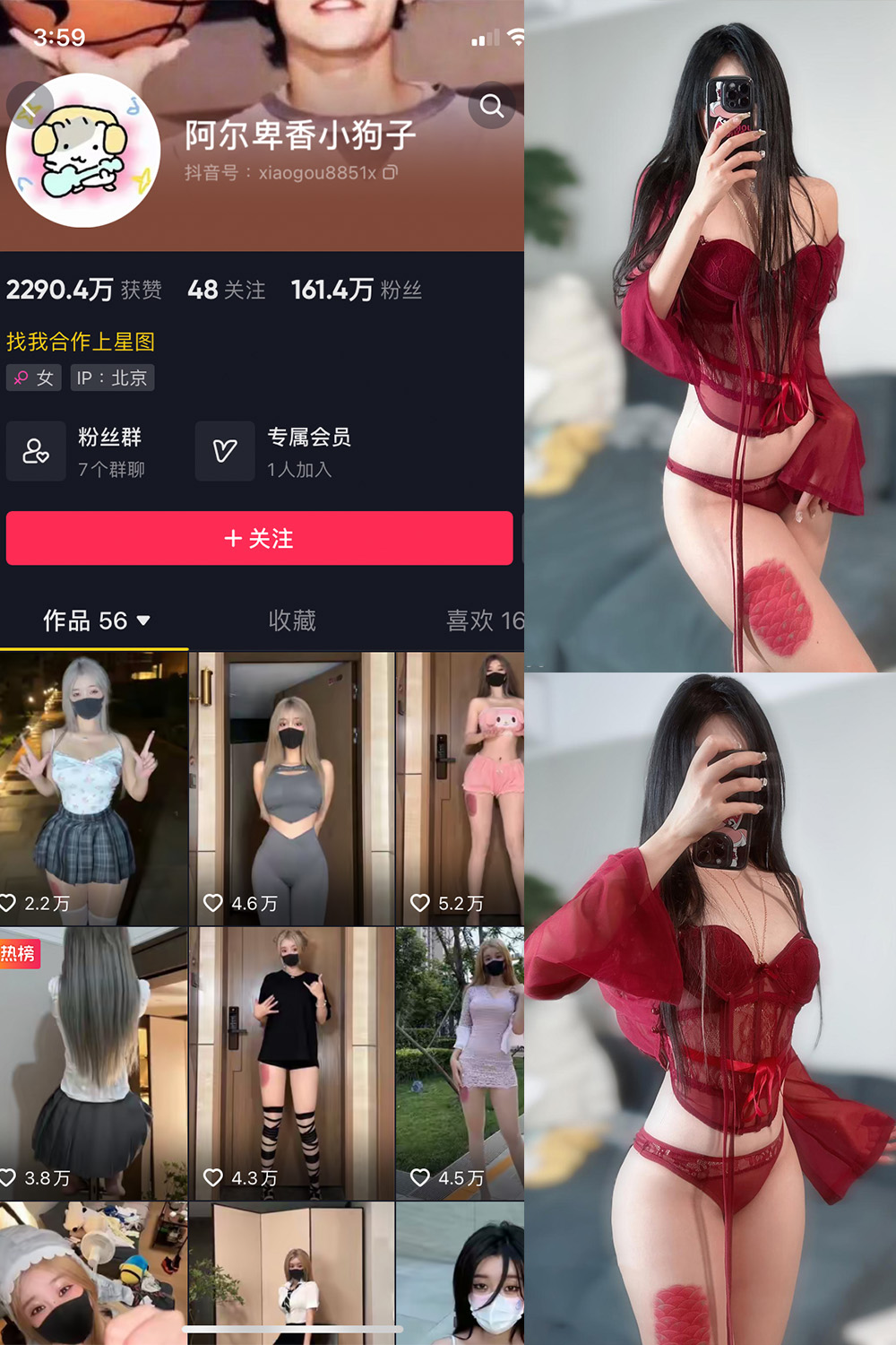 【在线看】抖音 阿尔卑香小狗子 微密圈  NO.056期 【10P2V】免费-写真-微密圈-铁粉空间-铁粉花园SCity写真网