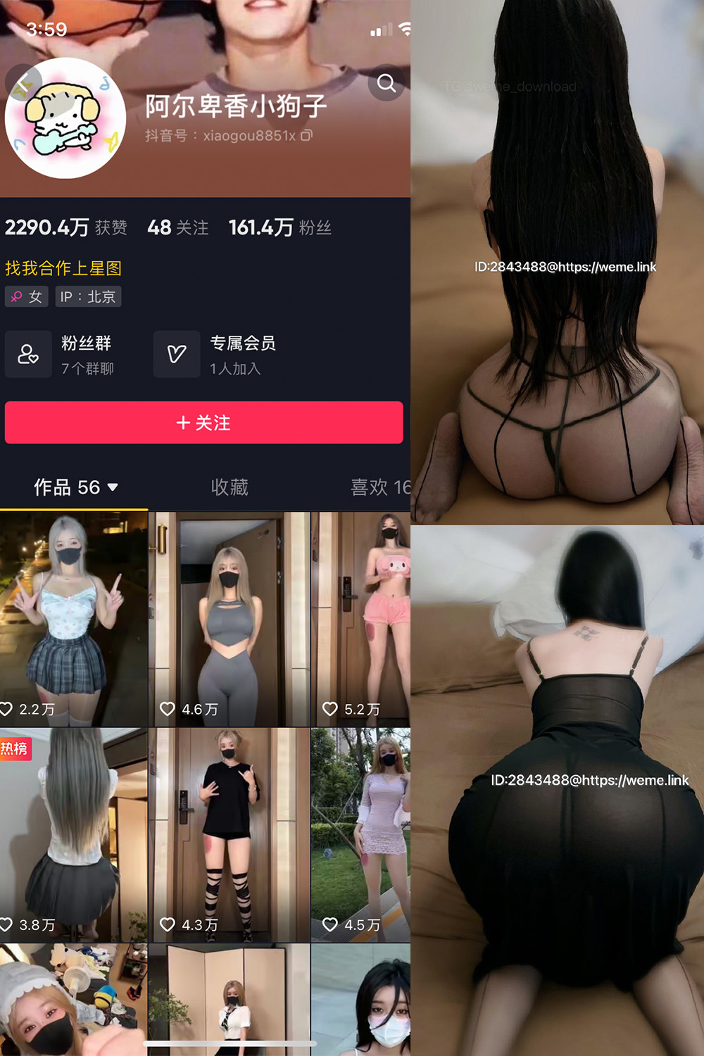 【在线看】抖音 阿尔卑香小狗子 微密圈  NO.057期 【36P1V】免费-写真-微密圈-铁粉空间-铁粉花园SCity写真网