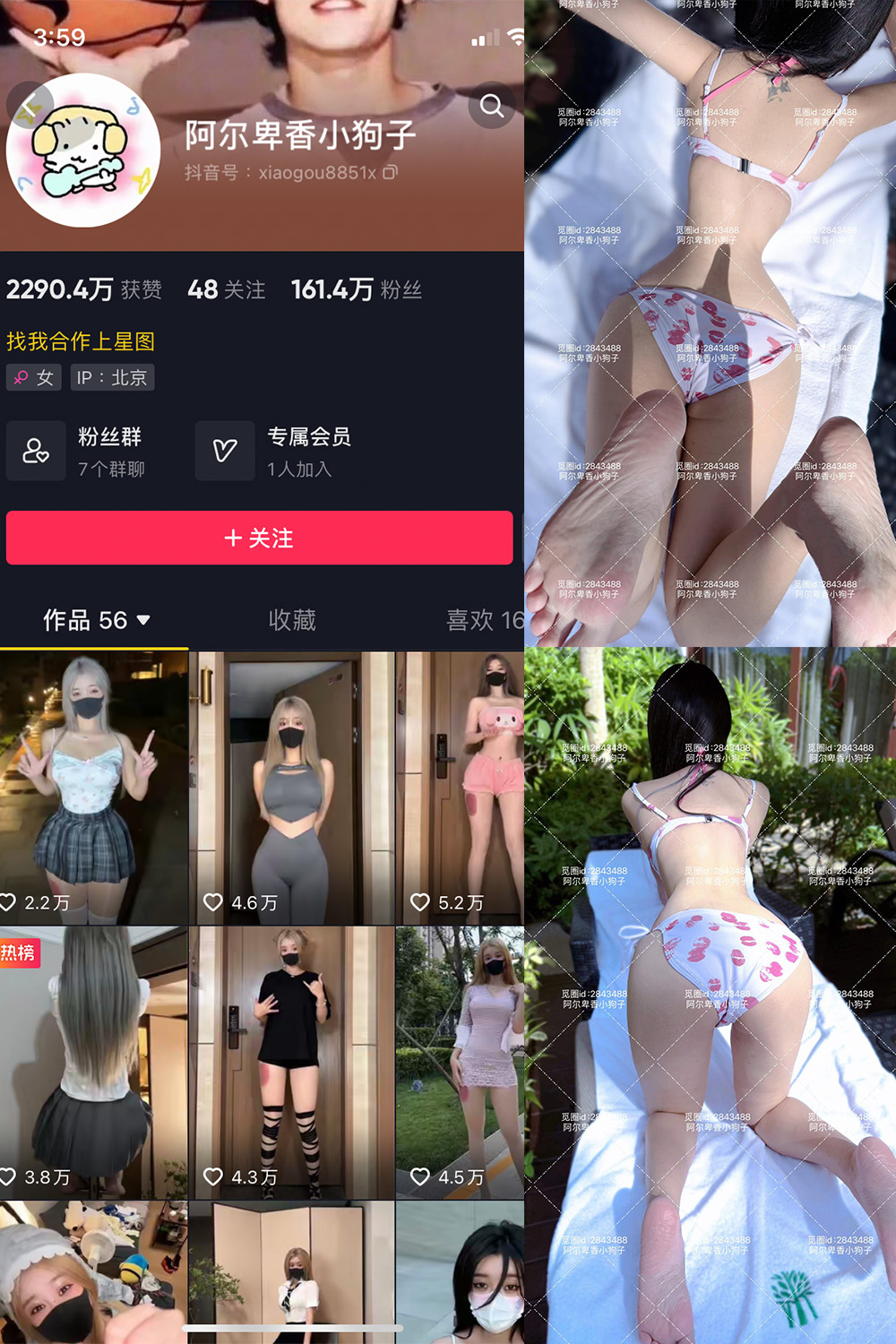 【在线看】抖音 阿尔卑香小狗子 微密圈  NO.060期 【17P】免费-写真-微密圈-铁粉空间-铁粉花园SCity写真网