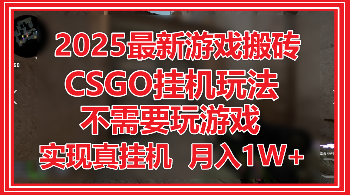 2025最新游戏搬砖，CSGO挂机，不需要玩游戏，实现真挂机，月入1W+-轻金阁
