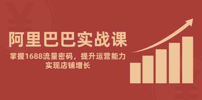 阿里巴巴实战课：掌握1688流量密码，提升运营能力，实现店铺增长-轻金阁
