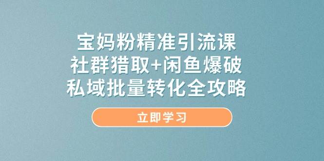 宝妈粉精准引流课，社群猎取+闲鱼爆破，私域批量转化全攻略-轻金阁