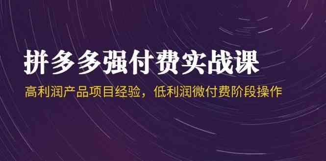 拼多多强付费实战课-44期，高利润产品项目经验，低利润微付费阶段操作-轻金阁