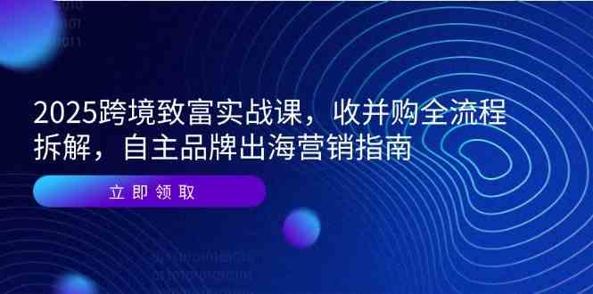 2025跨境致富实战课，收并购全流程拆解，自主品牌出海营销指南-轻金阁