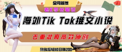 海外tiktok小说推文暴力项目，高停留率，高转化率，上手后一天搞顿饭钱不是问题-轻金阁