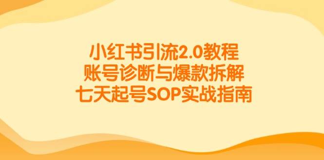 小红书引流2.0教程，账号诊断与爆款拆解，七天起号SOP实战指南-轻金阁
