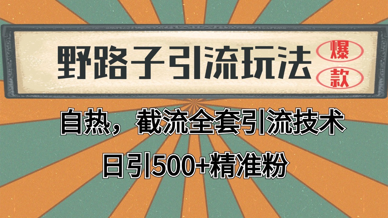 2024首发野路子引流玩法截流自热全平台打法，全自动引流【日引2000+精准客户】-轻金阁