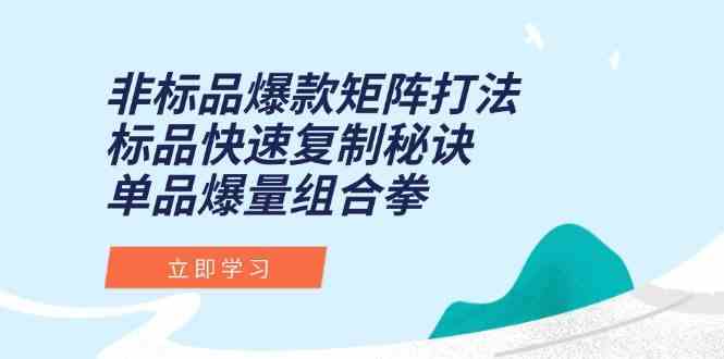 非标品爆款矩阵打法，标品快速复制秘诀，单品爆量组合拳-轻金阁