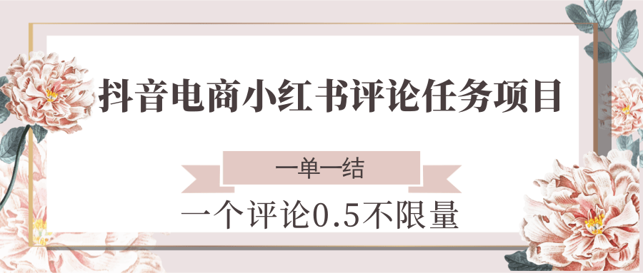 抖音电商小红书评论任务项目，一个评论0.5，一单一结 不限量-轻金阁