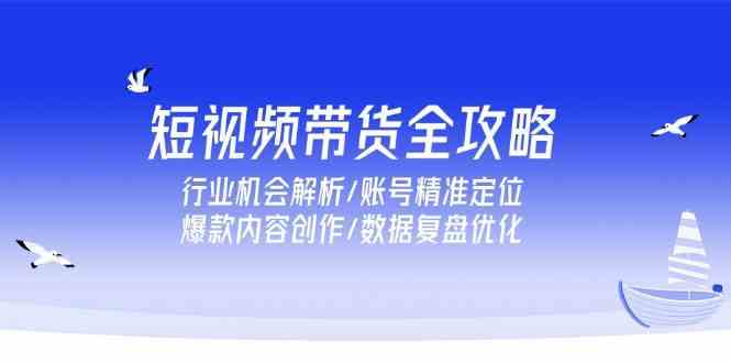 短视频带货全攻略，行业机会解析/账号精准定位/爆款内容创作/数据复盘优化-轻金阁
