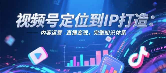 视频号定位到IP打造：账号搭建-内容运营-直播变现，完整知识体系-轻金阁