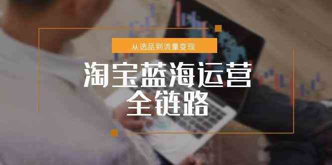 淘宝蓝海运营全链路，从选品到流量变现，小类目突围完整方案-轻金阁