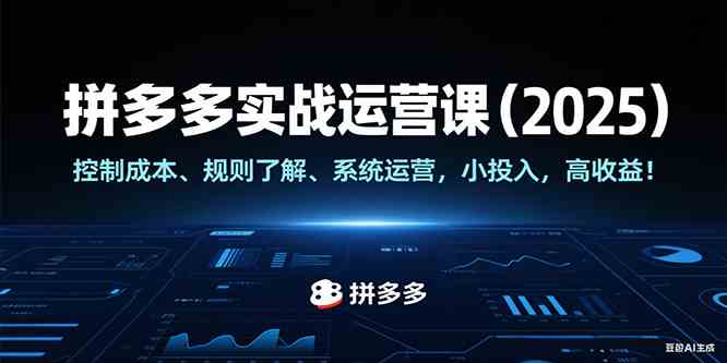 拼多多实战运营课（2025），控制成本、规则了解、系统运营，小投入，高收益！-轻金阁