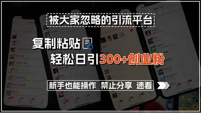 （15428期）被大家忽略的引流平台，复制粘贴轻松日引300+创业粉，新手也能操作，禁…-轻金阁