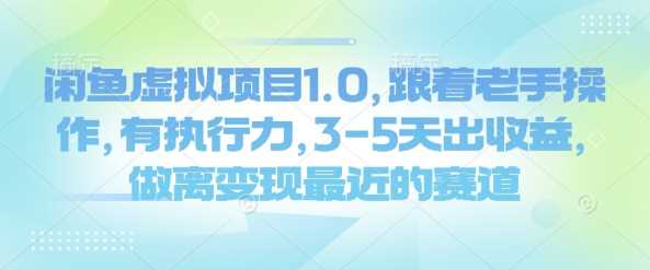 闲鱼虚拟项目1.0，跟着老手操作，有执行力，3-5天出收益，做离变现最近的赛道-轻金阁