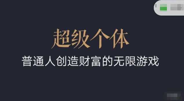 超级个体2024-2025翻盘指南，普通人创造财富的无限游戏-轻金阁