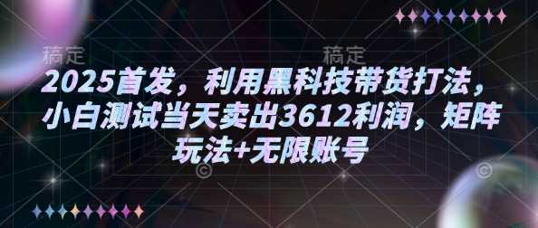 2025首发，利用黑科技带货打法，小白测试当天卖出3612利润，矩阵玩法+无限账号【揭秘】-轻金阁