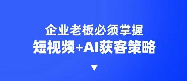 企业短视频AI获客霸屏流量课，6步短视频+AI突围法，3大霸屏抢客策略-轻金阁