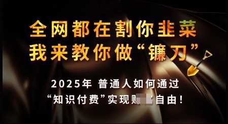 知识付费如何做到月入过W+，2025我来教你做“镰刀”【揭秘】-轻金阁