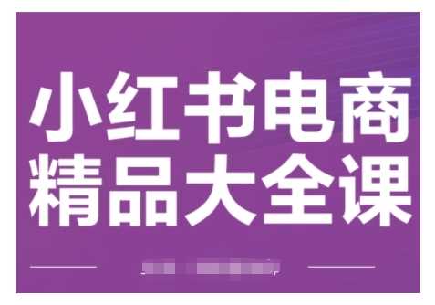 小红书电商精品大全课，快速掌握小红书运营技巧，实现精准引流与爆单目标，轻松玩转小红书电商(更新2月)-轻金阁