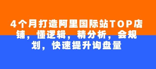4个月打造阿里国际站TOP店铺，懂逻辑，精分析，会规划，快速提升询盘量-轻金阁