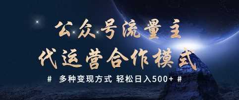 公众号流量主代运营  多种变现方式 轻松日入5张【揭秘】-轻金阁