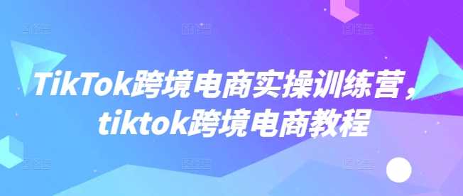 TikTok跨境电商实操训练营，tiktok跨境电商教程-轻金阁