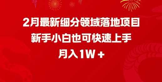 2月最新细分领域落地项目，新手小白也可快速上手，月入1W-轻金阁