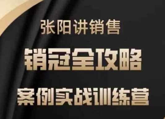 张阳讲销售实战训练营，​案例实战训练，销冠全攻略-轻金阁