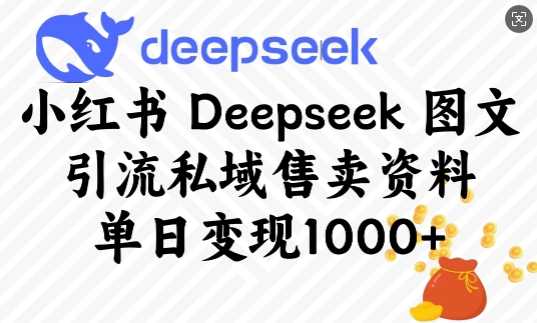 小红书Deepseek图文引流私域售卖资料，单日变现多张-轻金阁