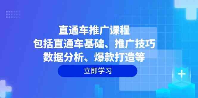 直通车推广课程：包括直通车基础、推广技巧、数据分析、爆款打造等-轻金阁