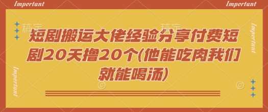 短剧搬运大佬经验分享付费短剧20天撸20个(他能吃肉我们就能喝汤)-轻金阁