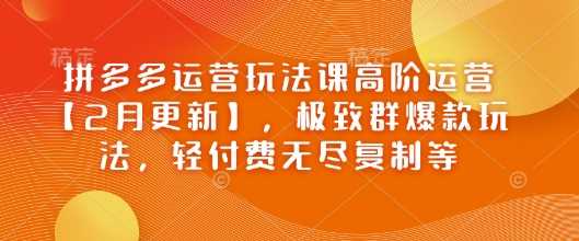 拼多多运营玩法课高阶运营【2月更新】，极致群爆款玩法，轻付费无尽复制等-轻金阁