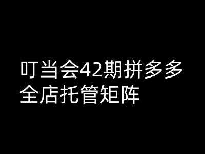 叮当会拼多多打爆班原创高阶技术第42期，拼多多全店托管矩阵-轻金阁