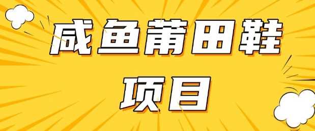 闲鱼高转化项目，手把手教你做，日入3张+(详细教程+货源)-轻金阁