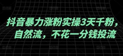 抖音暴力涨粉实操3天千粉，自然流，不花一分钱投流，实操经验分享-轻金阁