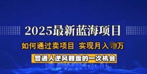 2025蓝海项目，普通人如何通过卖项目，实现月入过W，全过程【揭秘】-轻金阁