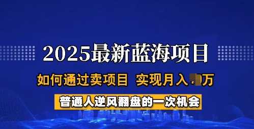 2025蓝海项目，普通人如何通过卖项目，实现月入过W，全过程【揭秘】-轻金阁