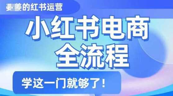小红书电商全流程，精简易懂，从入门到精通，学这一门就够了-轻金阁