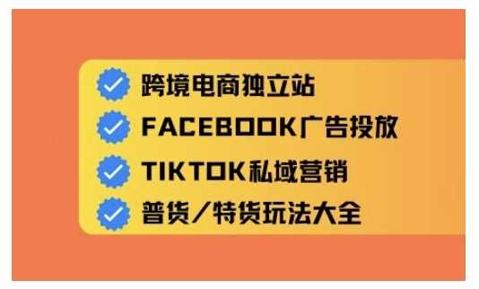 跨境电商独立站及全域流量营销，从0基础快速入门并精通跨境电商运营-轻金阁