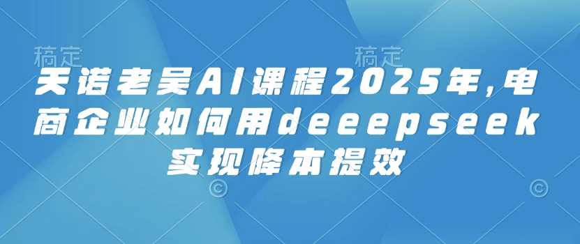 天诺老吴AI课程2025年，电商企业如何用deeepseek实现降本提效-轻金阁