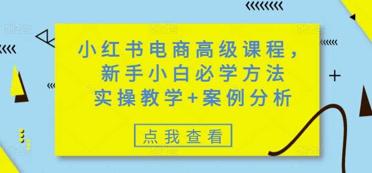 小红书电商高级课程，新手小白必学方法，实操教学+案例分析-轻金阁