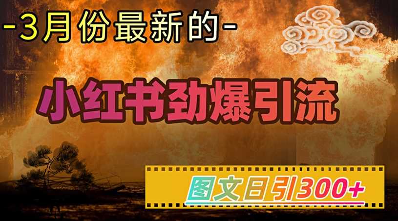 小红书超劲爆引流手段，图文日引300+轻松变现1W-轻金阁