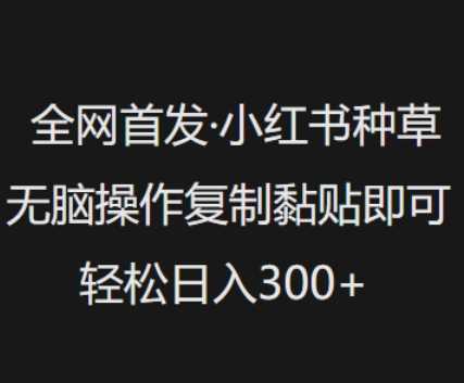全网首发，小红书种草无脑操作，复制黏贴即可，轻松日入3张-轻金阁