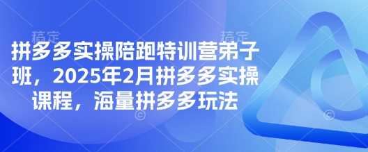 拼多多实操陪跑特训营弟子班，2025年2月拼多多实操课程，海量拼多多玩法-轻金阁