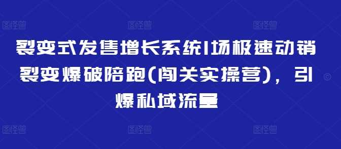 裂变式发售增长系统1场极速动销裂变爆破陪跑(闯关实操营)，引爆私域流量-轻金阁