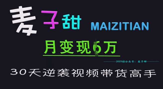 麦子甜30天逆袭视频带货高手，单月变现6W加特训营-轻金阁